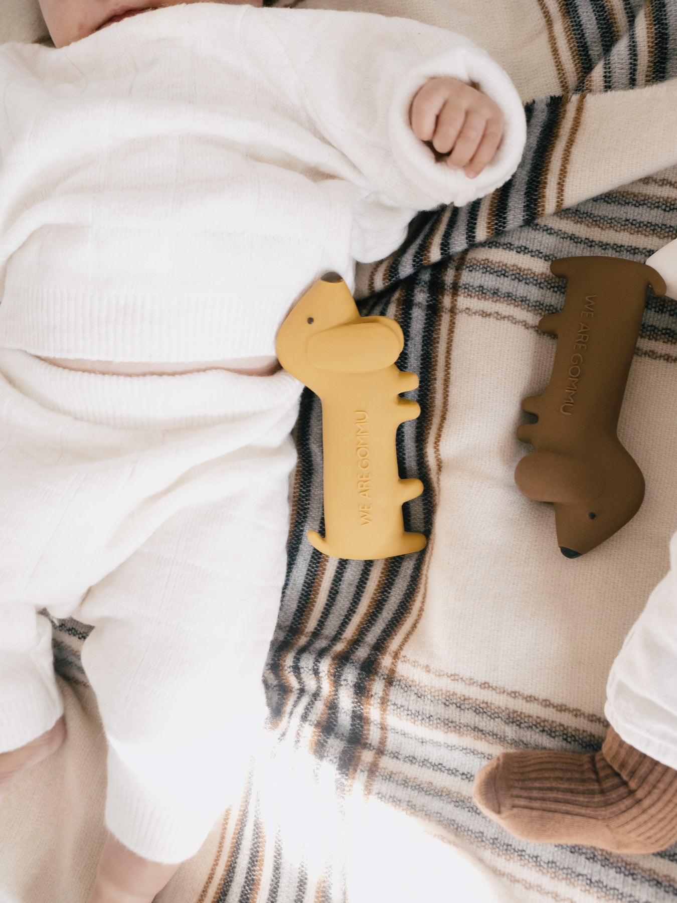 We Are GOMMU Mini Dog SIENNA