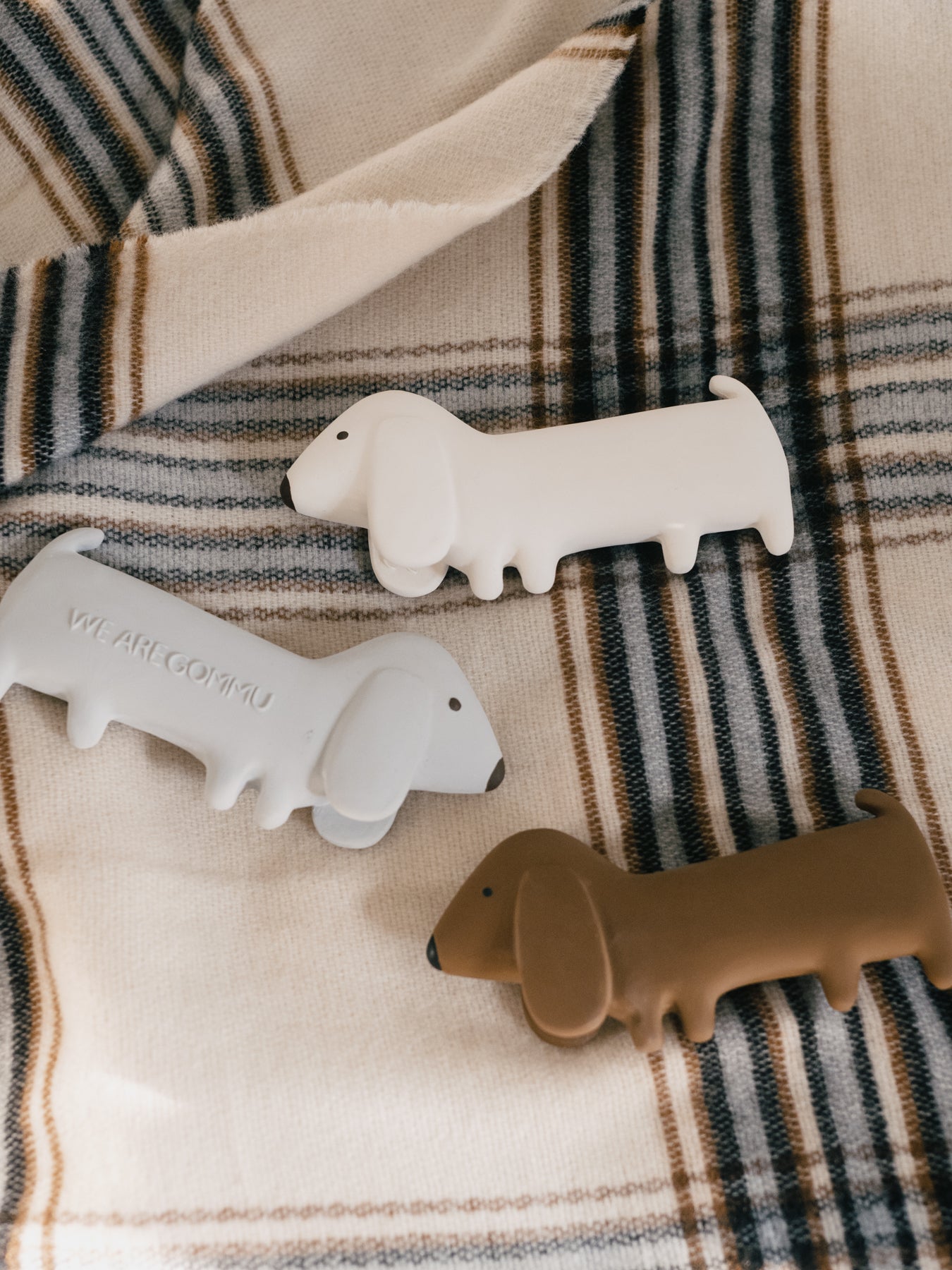 We Are GOMMU Mini Dog OCEAN