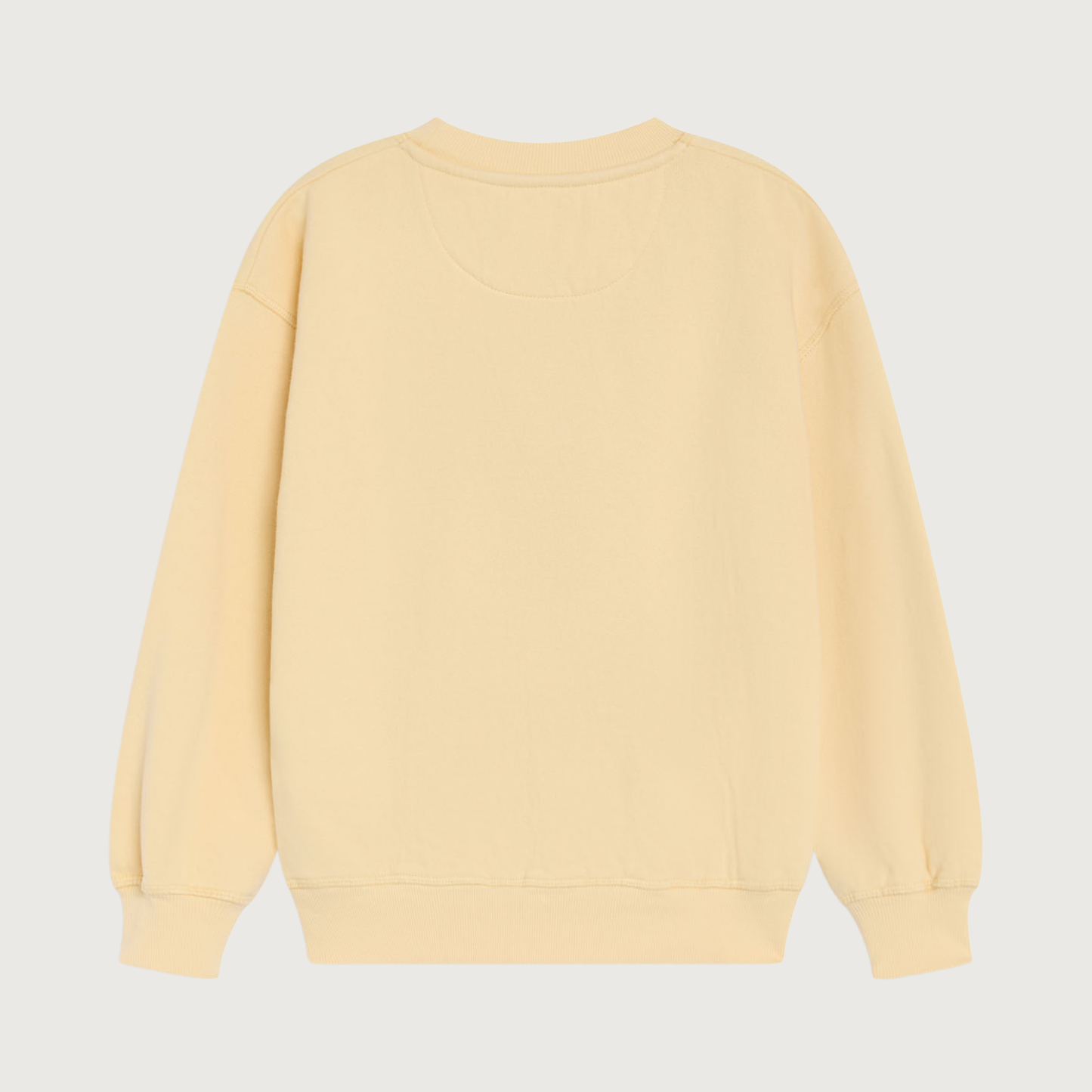 The New Society TNS Logo sweatshirt sunlight