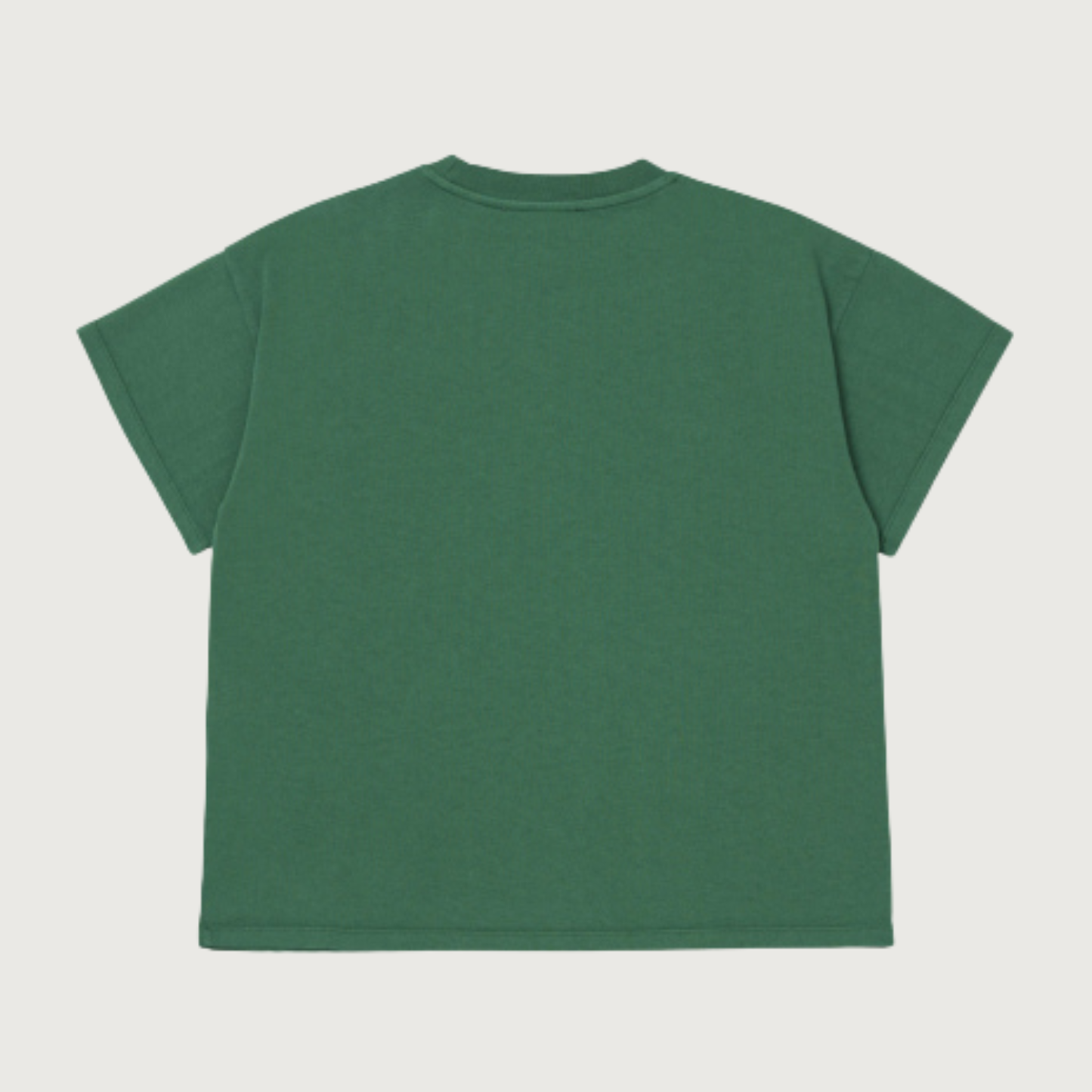 Main Story Heavy tee frosty spruce jersey