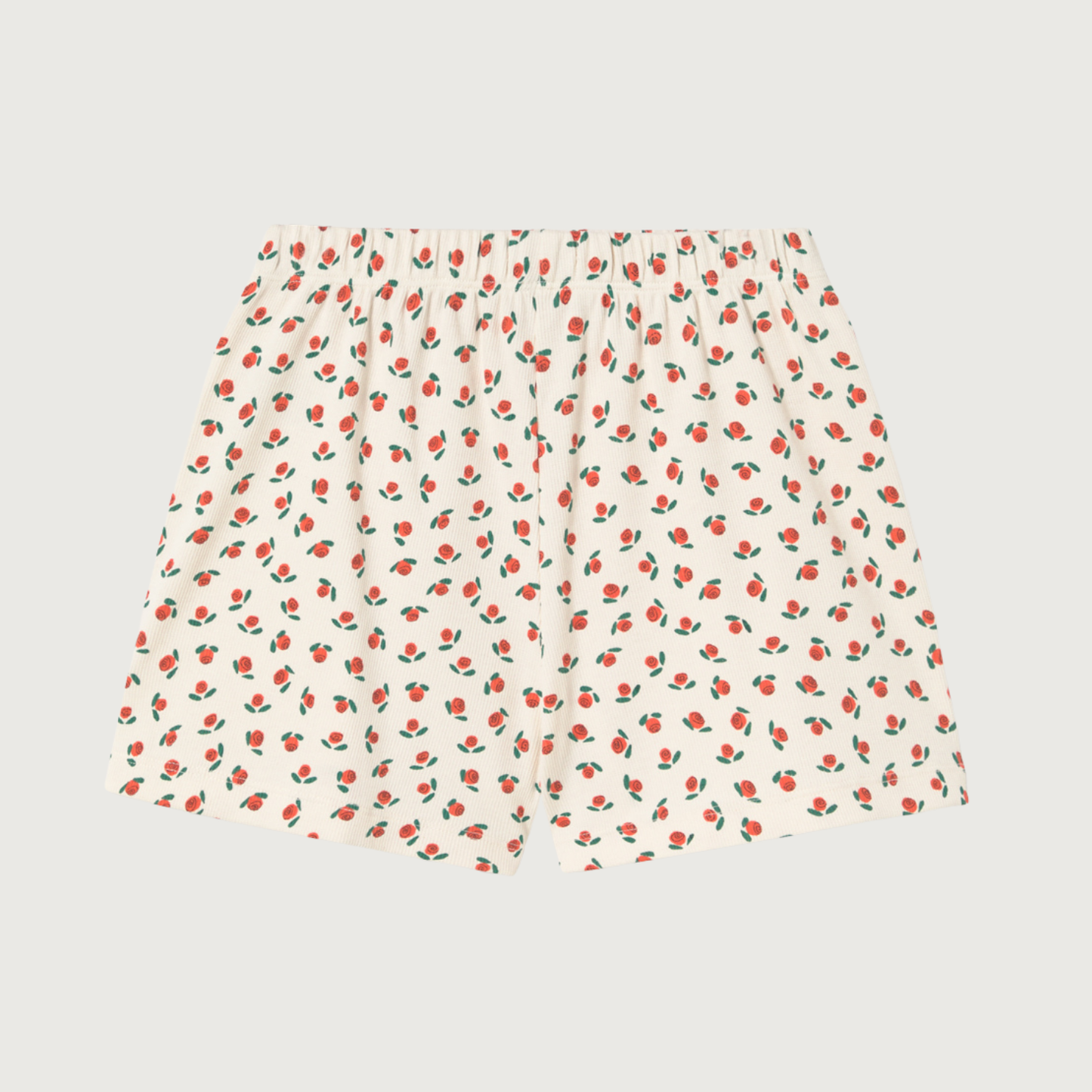 Tinycottons TINY ROSES rib short offwhite