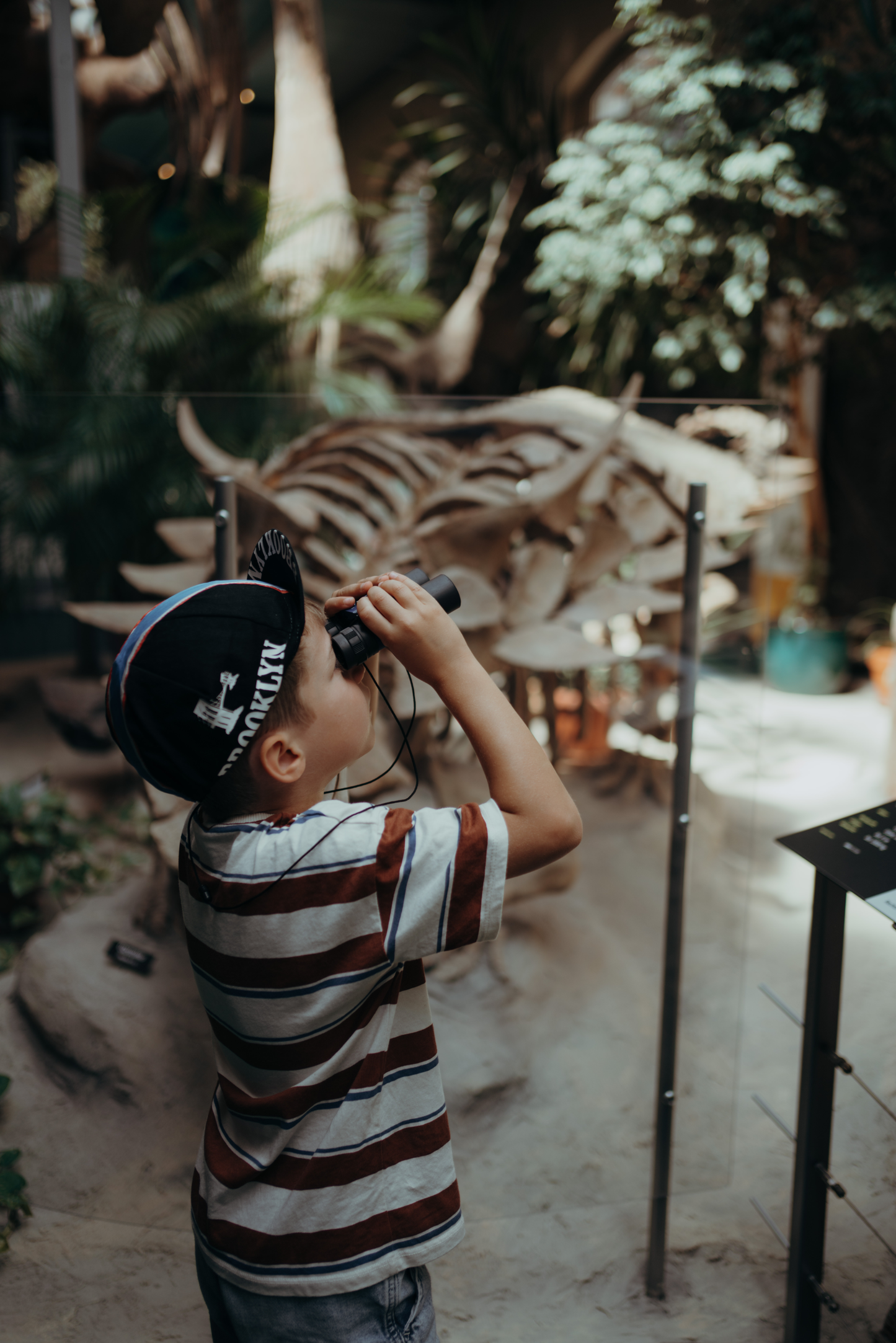 Kidywolf Kidybinoculars blue