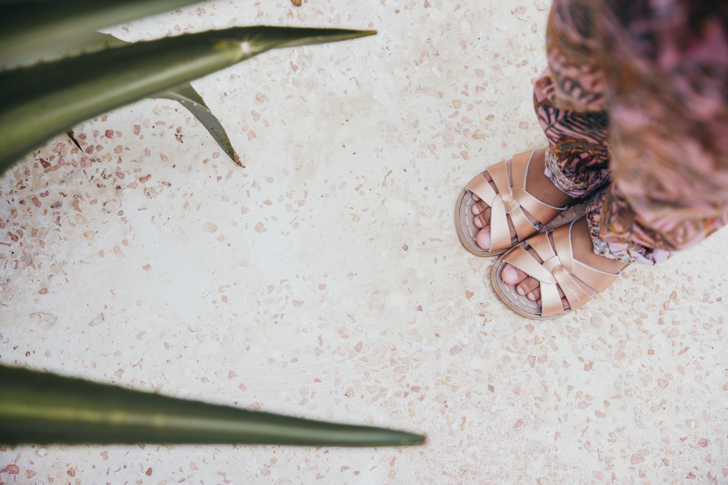 Salt-Water Original Rose gold
