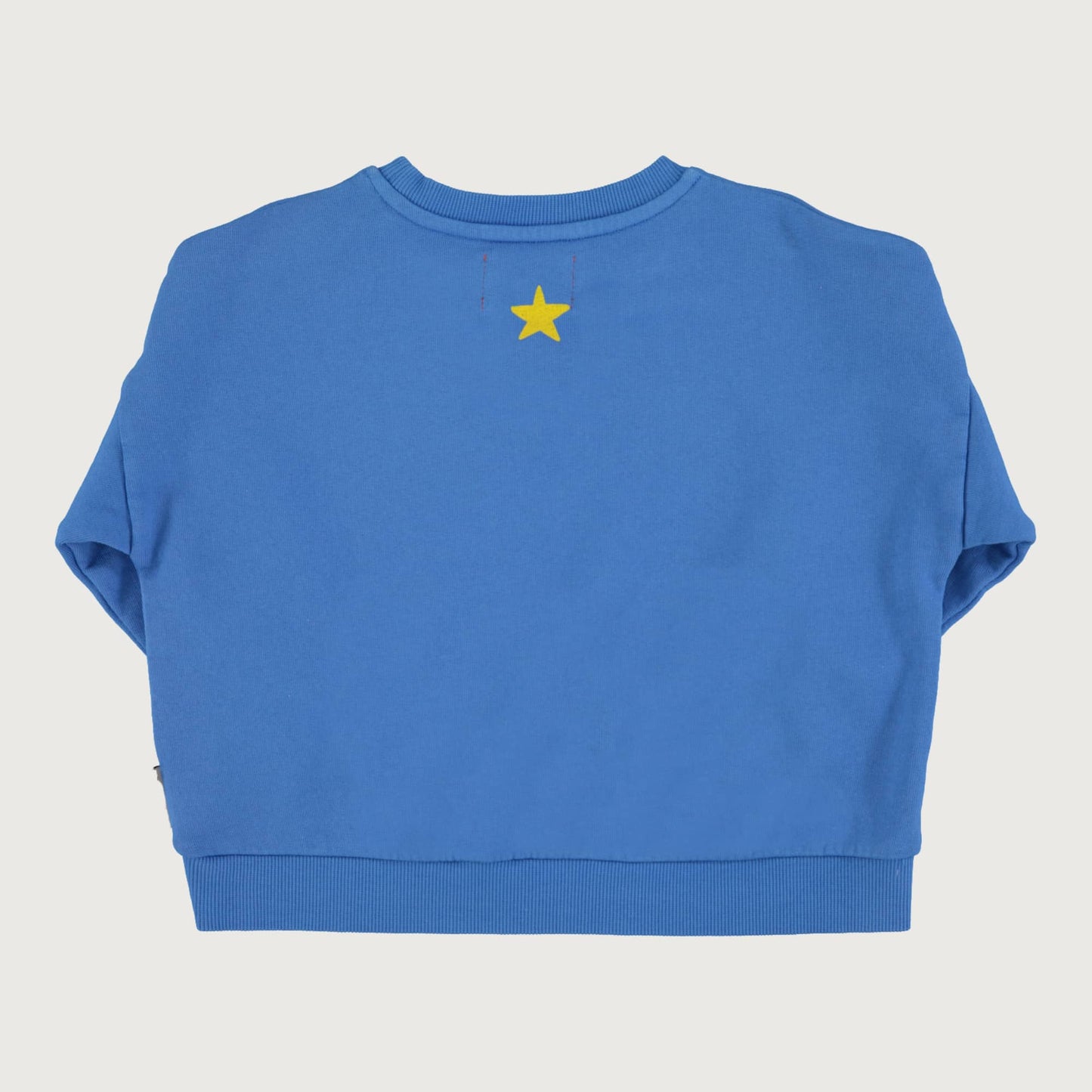 Piupiuchick blue sweatshirt with FANTASTIC print
