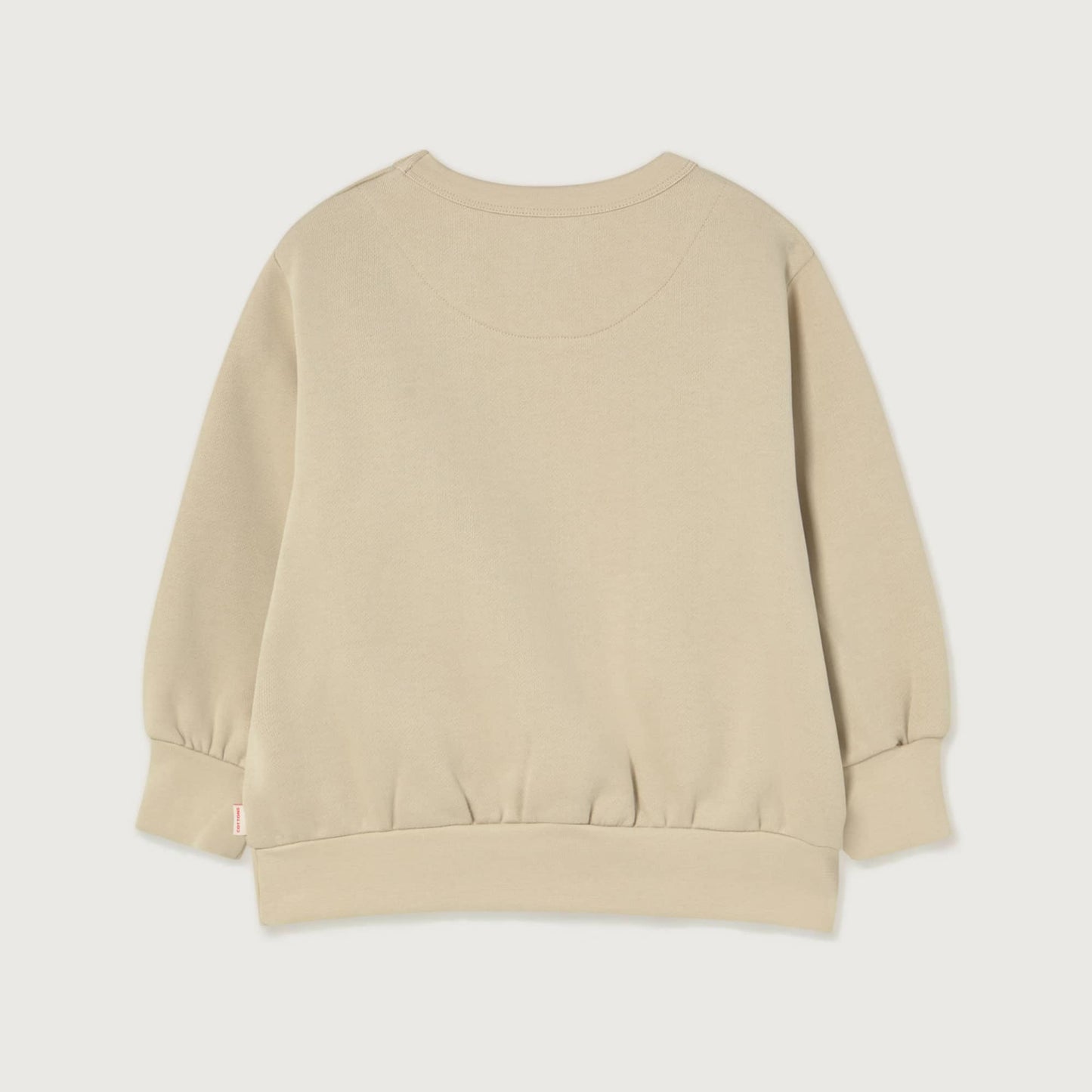 Tinycottons TINY DOG graphic sweatshirt dark vanilla