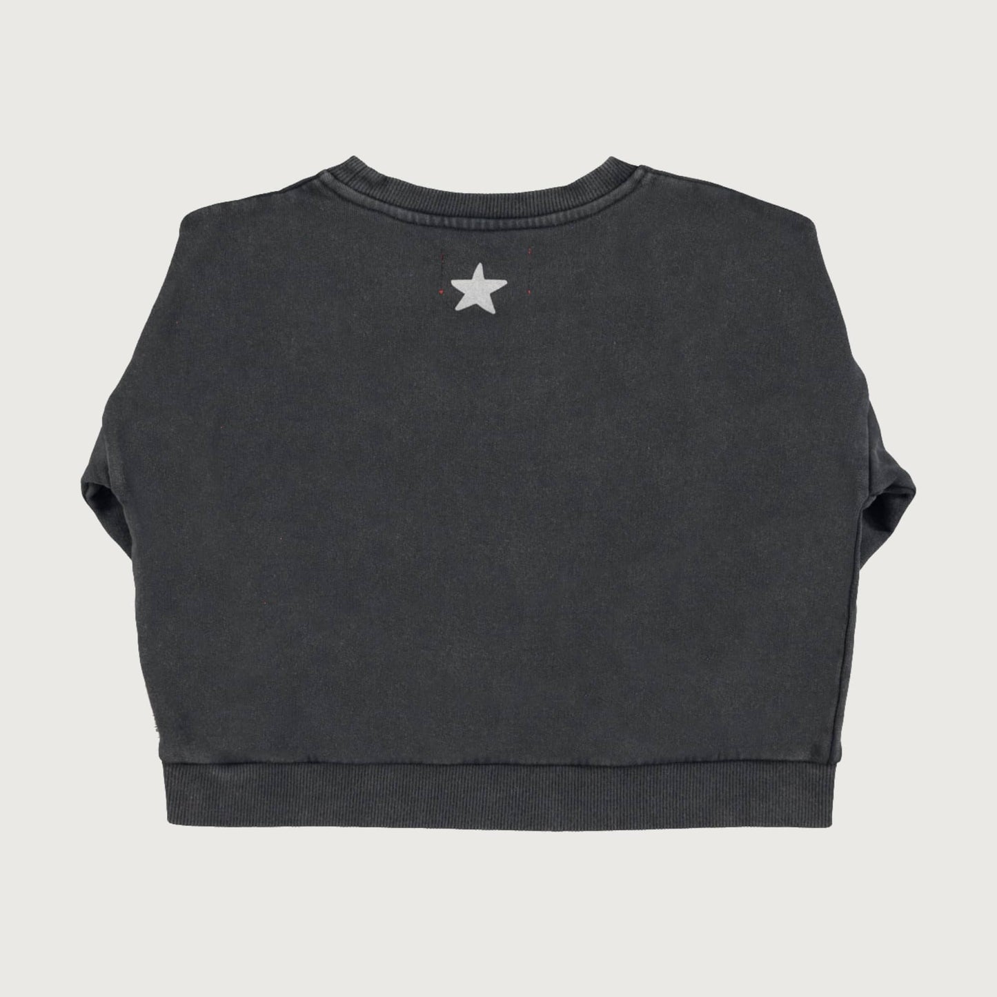 Piupiuchick Sweatshirt faded black with JIMI HENDRIX print