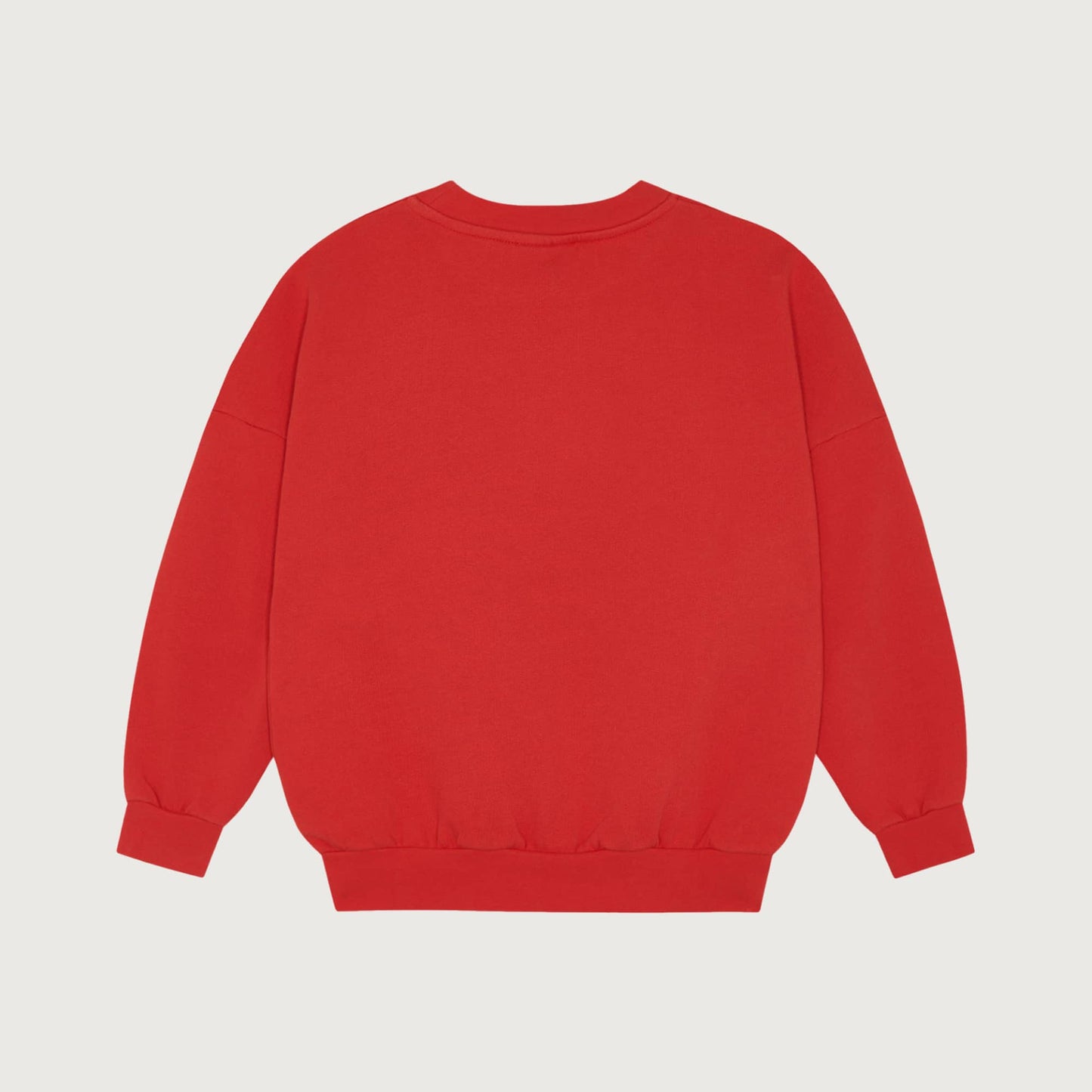 The Campamento READING LION Sweatshirt red / 3Y