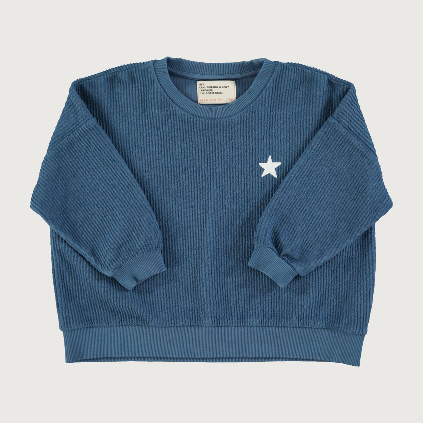 Piupiuchick LOGO sweatshirt blue