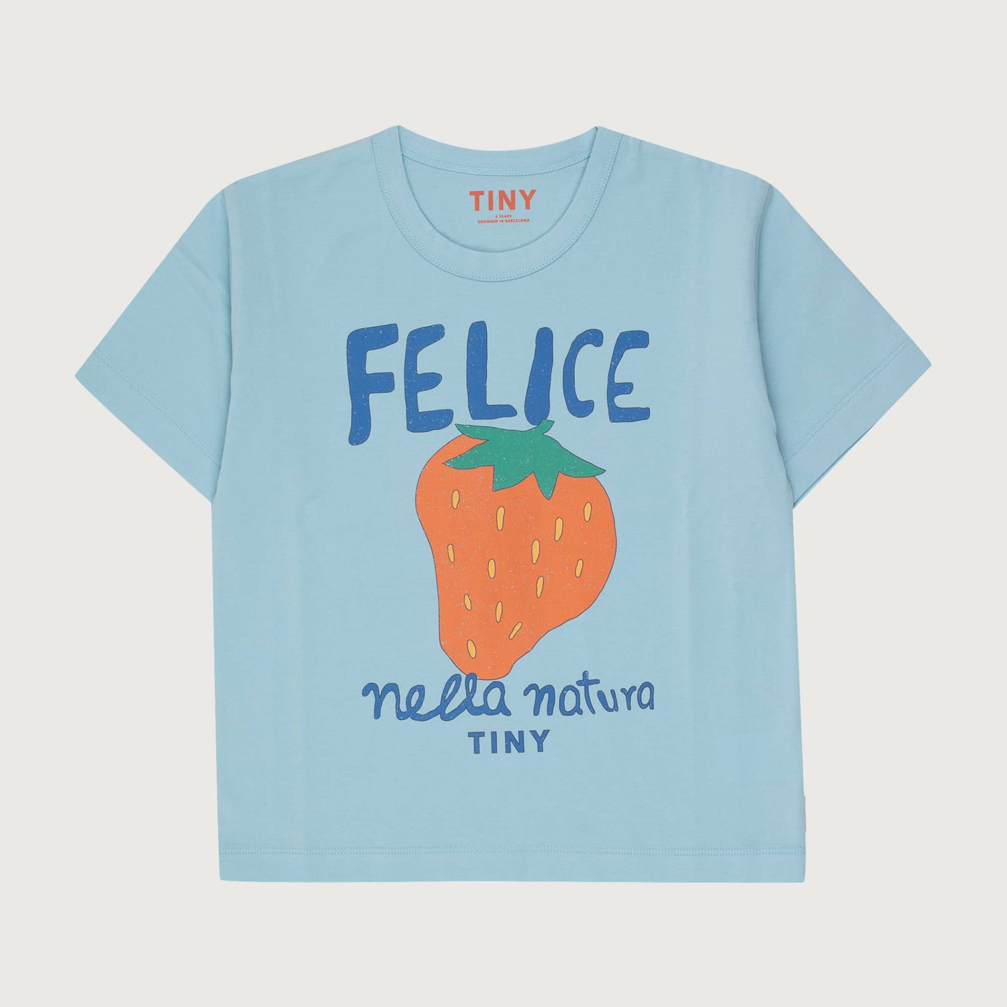 Tinycottons NELLA NATURA graphic tee dusty blue