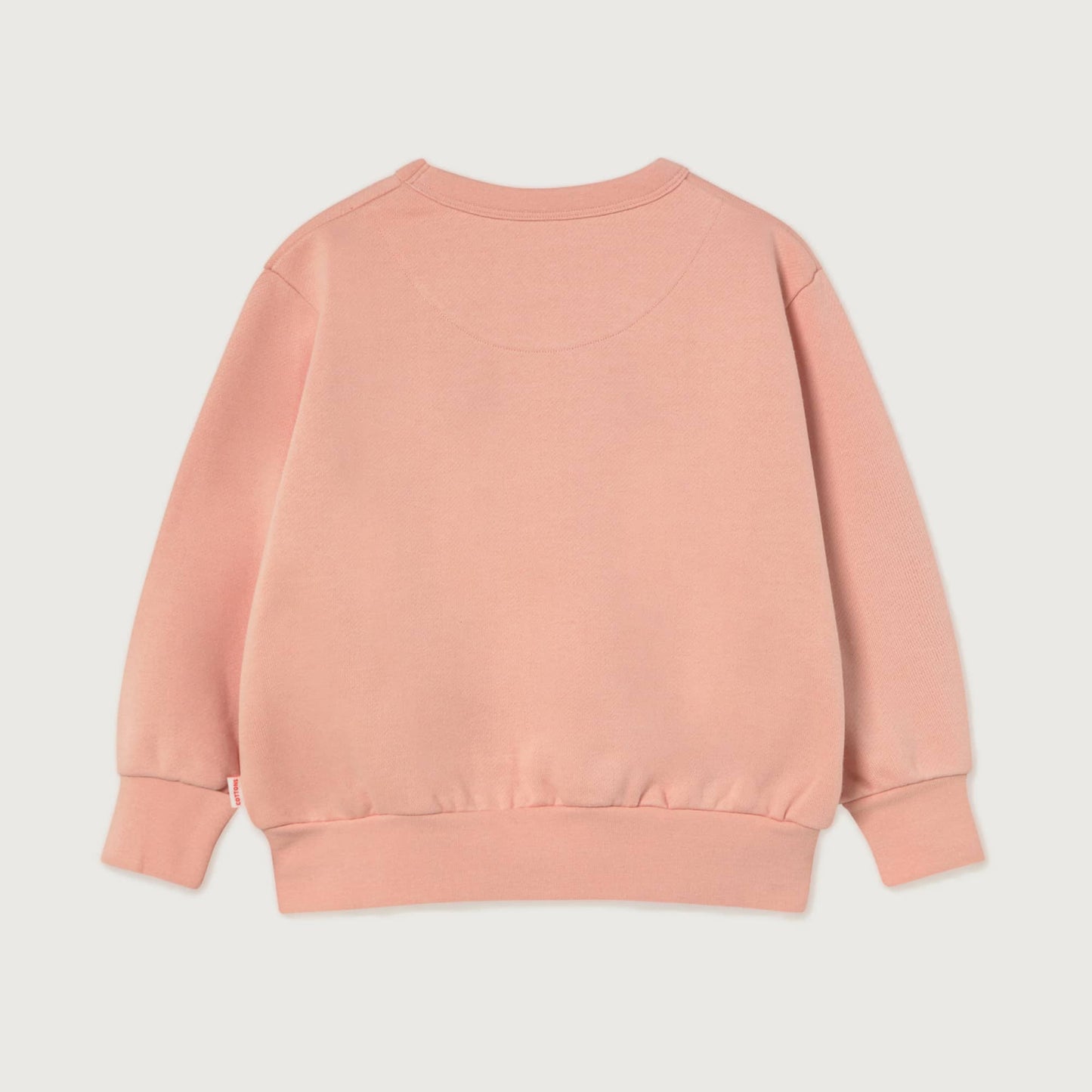 Tinycottons WALK graphic sweatshirt wild rose