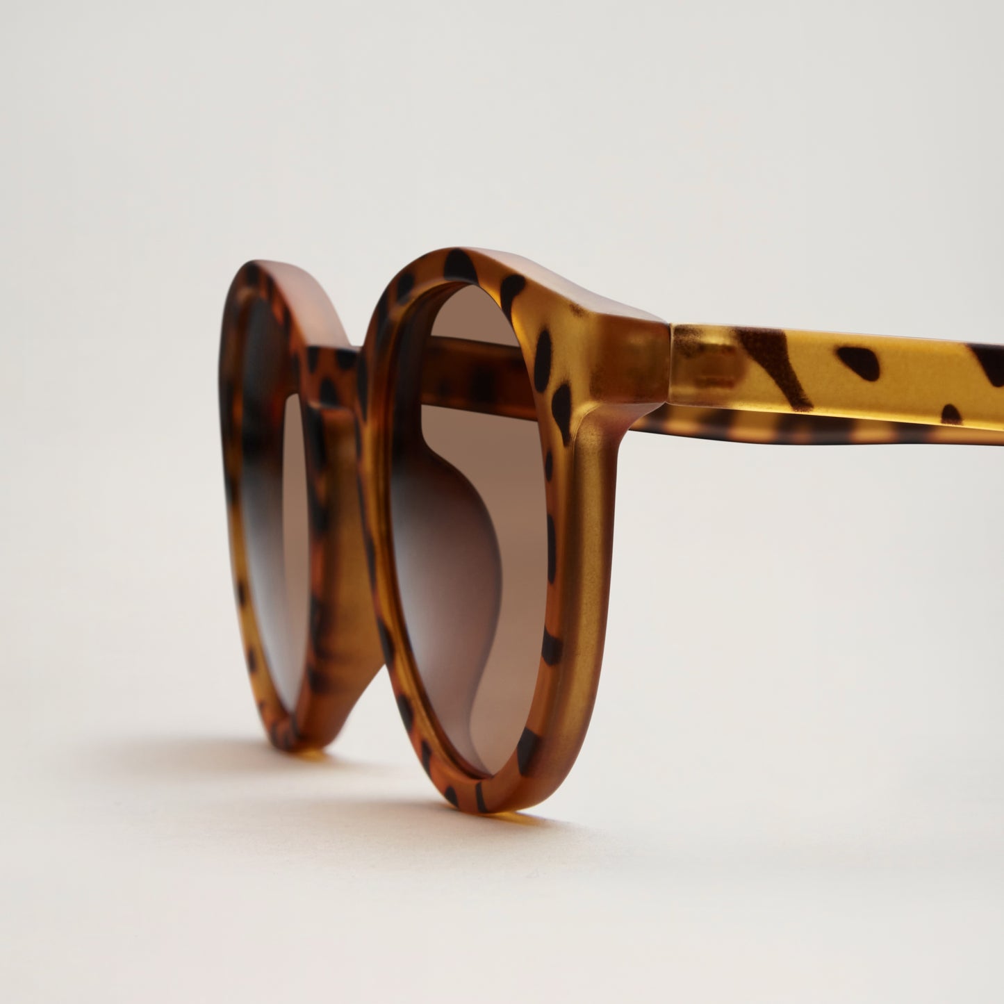 Classic sunnies LEO (KID)