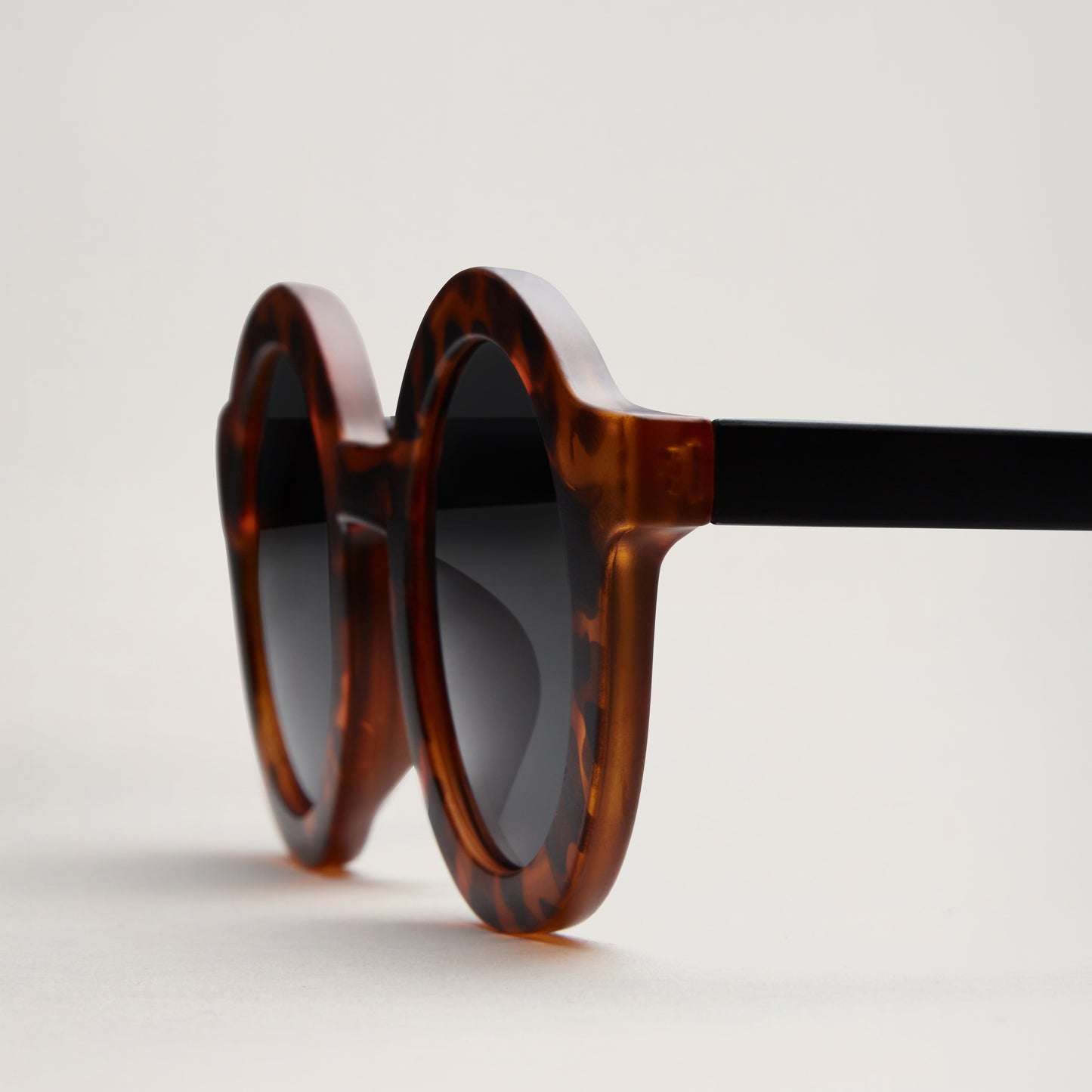 Signature round sunnies TURTLE (ADULT)