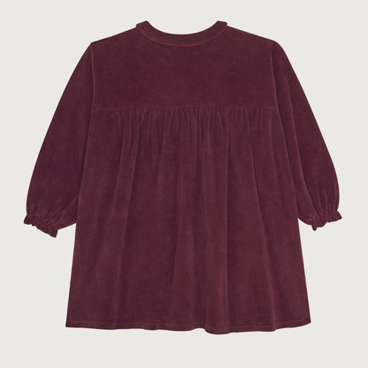 The Campamento Burgundy velour dress