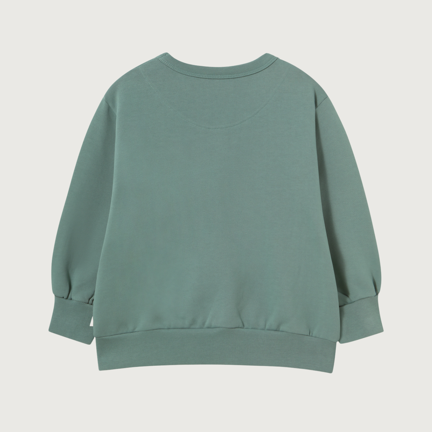 Tinycottons Two dogs graphic sweatshirt teal