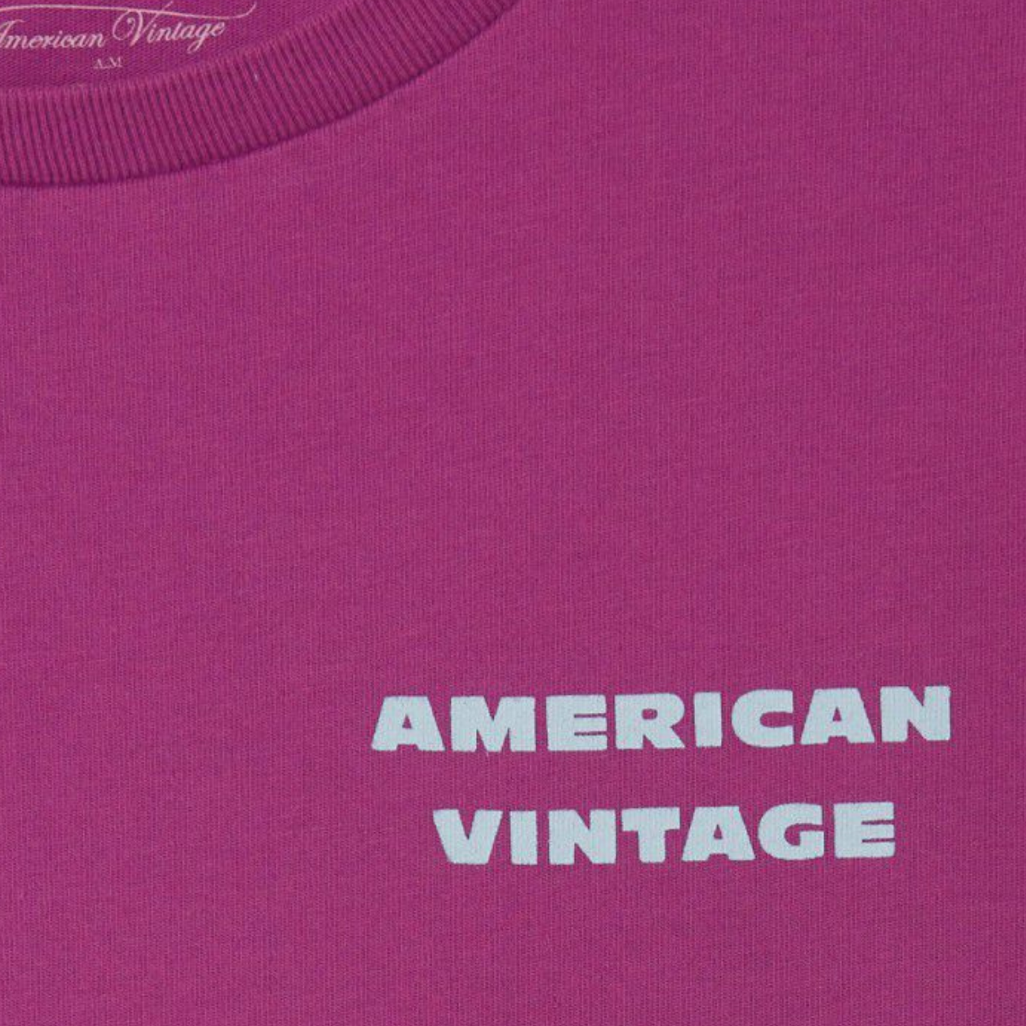 American Vintage Kids Fizvalley t-shirt vintage grape juice