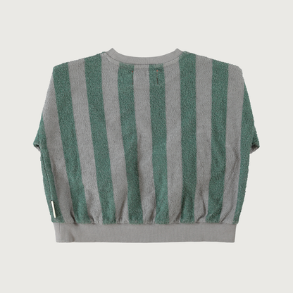 Piupiuchick Sweatshirt grey & green stripes