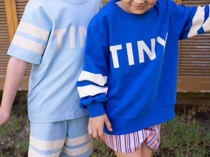 Tinycottons STRIPES LOGO tee dusty blue