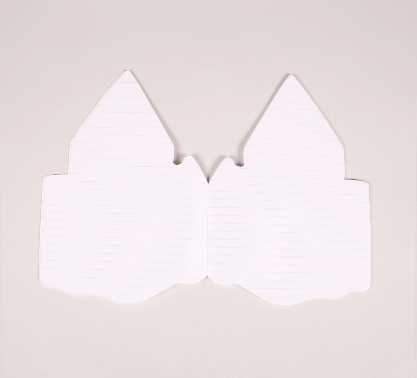 OMY MAGIC notebook + stickers