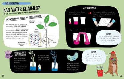 Klimaat en weer - Rosie Cooper & Hariet Russell
