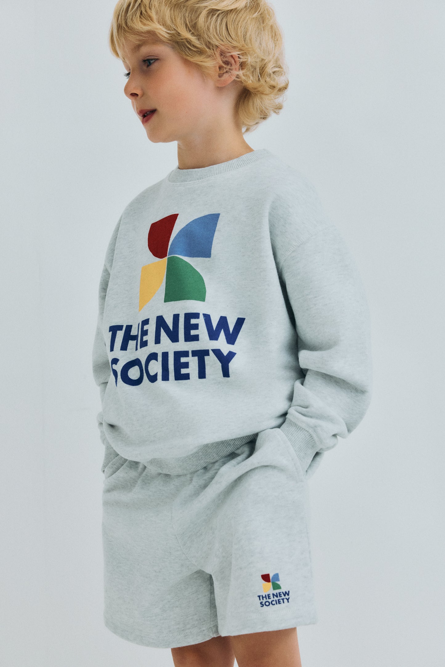 The New Society TNS LOGO Sweatshirt light grey melange
