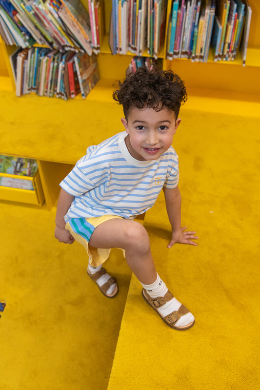 The Campamento Blue STRIPED T-shirt