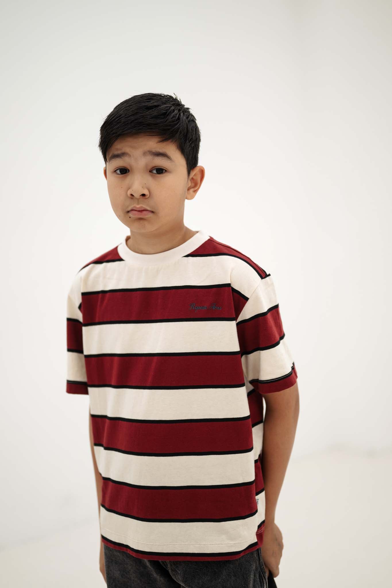 Repose AMS T-shirt mulberry stripe