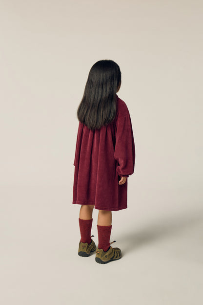 The Campamento Burgundy velour dress