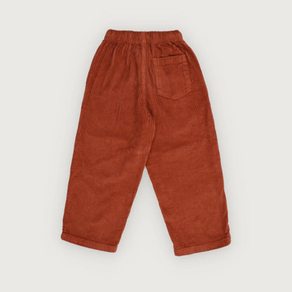 The New Society Nicol Pant astral earth