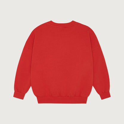 The Campamento READING LION Sweatshirt red / 3Y