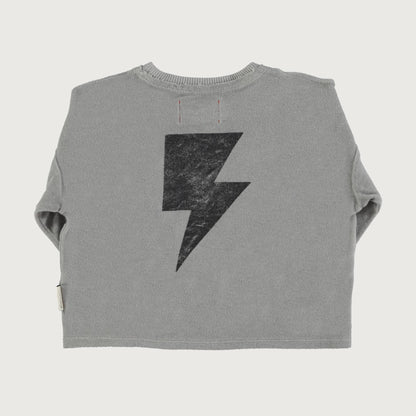 Piupiuchick Terry cotton long sleeve T-shirt grey with ROCK 'N ROLL print