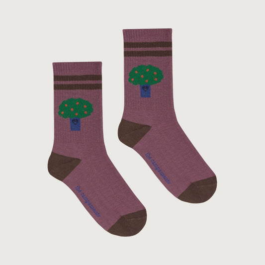 The Campamento Big tree socks purple